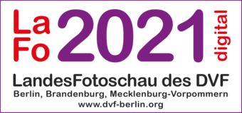 Logo für LaFo 2021
